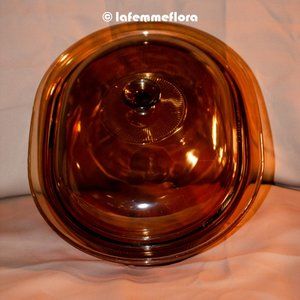 Pyrex Vision Roaster